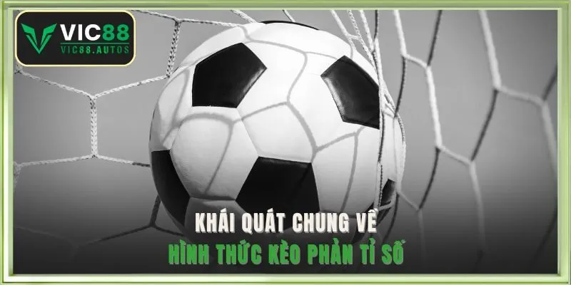 Khái quát chung về hình thức kèo phản tỉ số