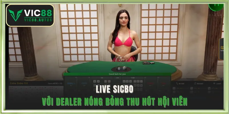Live Sicbo với Dealer nóng bỏng thu hút hội viên