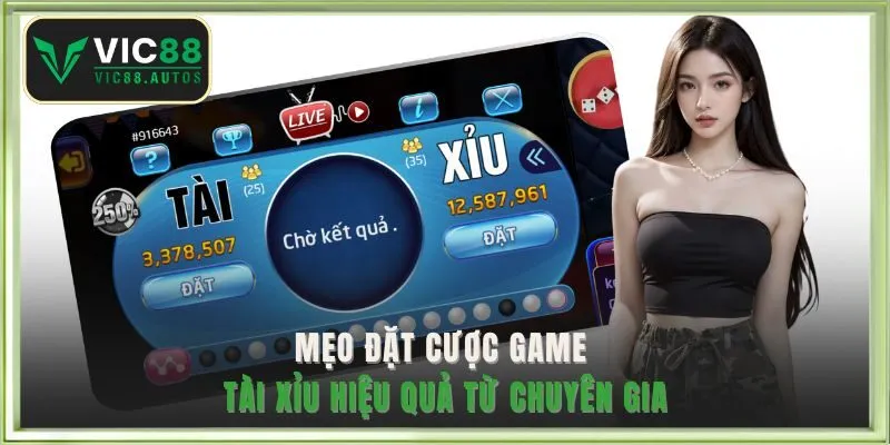Mẹo đặt cược game tài xỉu hiệu quả từ chuyên gia