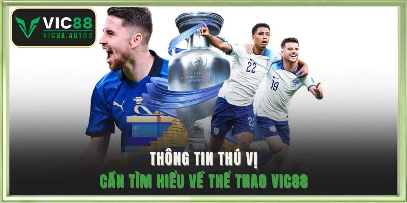 Thông tin thú vị cần tìm hiểu về thể thao VIC88